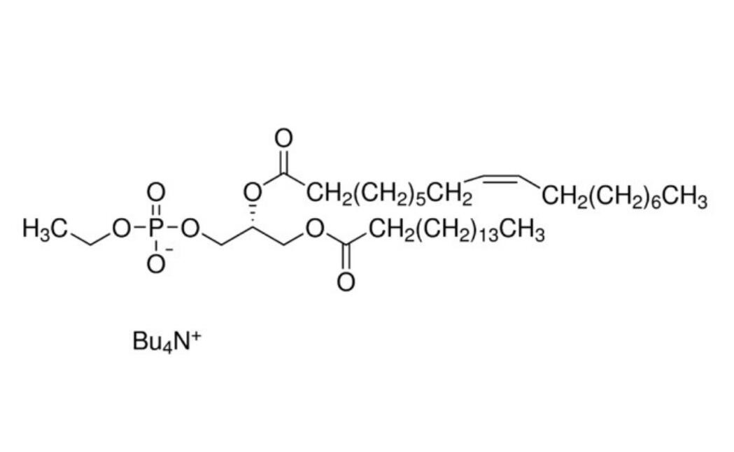 P-114  磷脂酰乙醇16:0/18:1 標準溶液