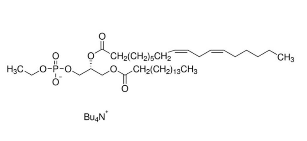 P-115  磷脂酰乙醇16:0/18:2 標準溶液